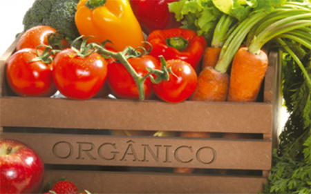 Produtos orgânicos são muito mais benéficos à saúde